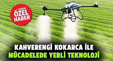 Samsun’da kahverengi kokarca ile mücadelede yerli teknoloji