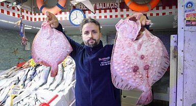 Samsun’da kalkan balığının fiyatı altınla yarışıyor: Bir balık bir çeyrek altına bedel