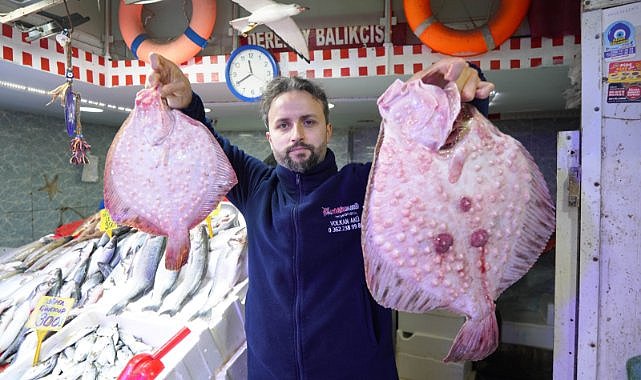 Samsun’da kalkan balığının fiyatı altınla yarışıyor: Bir balık bir çeyrek altına bedel