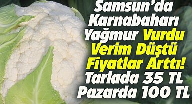 Samsun'da karnabahar fiyatları el yakıyor! Vatandaş almakta zorlanıyor