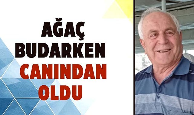 Samsun'da Musa Duvan ağaç budarken canından oldu