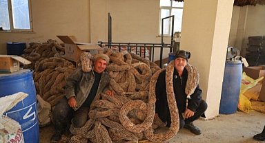 Samsun'da tütün üreticisi isyan etti! 'Maliyetleri arttı, fiyatlar en az 450 TL olmalı'