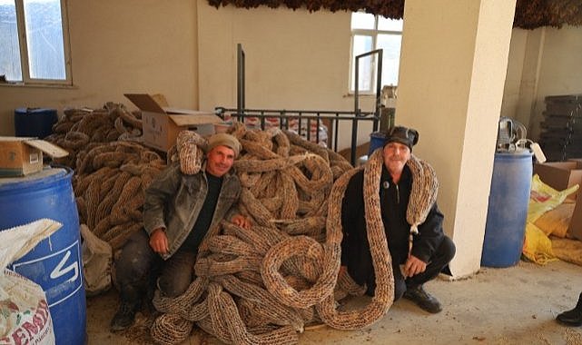 Samsun'da tütün üreticisi isyan etti! 'Maliyetleri arttı, fiyatlar en az 450 TL olmalı'