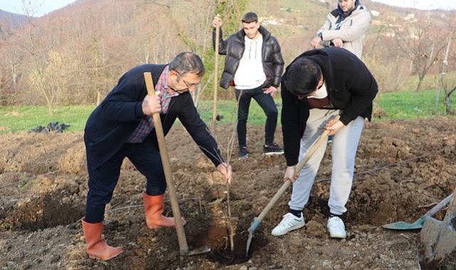 Samsun OMÜ'den garantili kestane üretimi yöntemi
