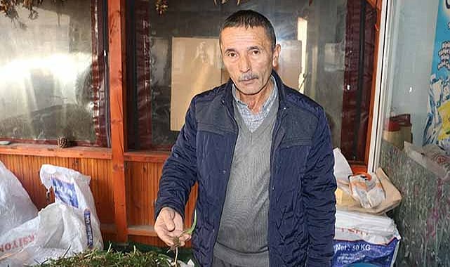 Samsun salep üretiminde lider