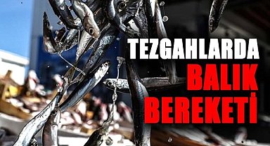 Samsun tezgahlarında balık bereketi
