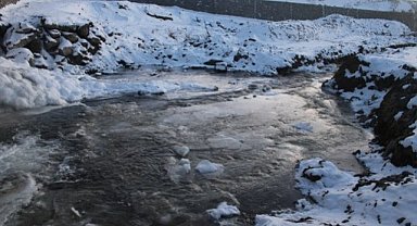 Soğuk hava dereleri dondurdu