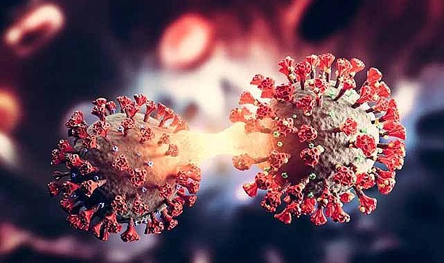 Solunum yolu virüslerinde artış: Maskesiz kalabalıklardan uzak durun!