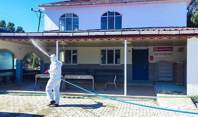 Terme'de kahverengi kokarca tehdidine karşı topyekün mücadele 