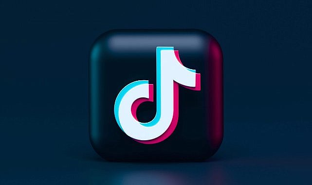 TikTok bir yıl süreyle yasaklandı