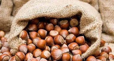 Türkiye, fındık ihracatından 2,3 milyar dolar gelir elde etti