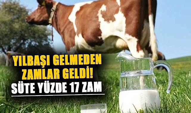 Yılbaşı gelmeden zamlar geldi! Süte yüzde 17 zam