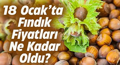 18 Ocak fındık fiyatları ne kadar?
