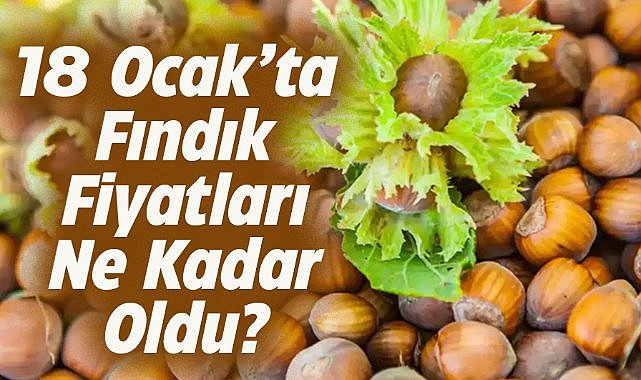 18 Ocak fındık fiyatları ne kadar?