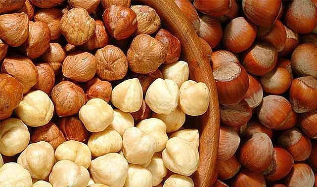 23 Ocak fındık fiyatları ne kadar?