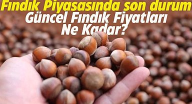 25 Ocak fındık fiyatları ne kadar?