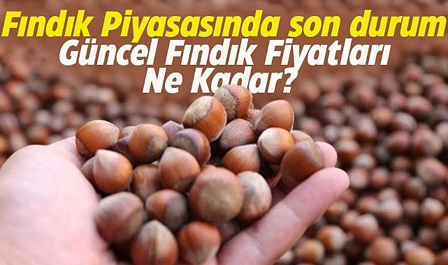 25 Ocak fındık fiyatları ne kadar?