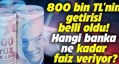 800 bin TL'nin getirisi belli oldu! Hangi banka ne kadar faiz veriyor?