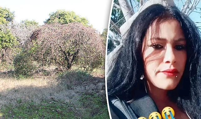 Adana'da kadın cinayeti: Ormana götürüp öldürdü