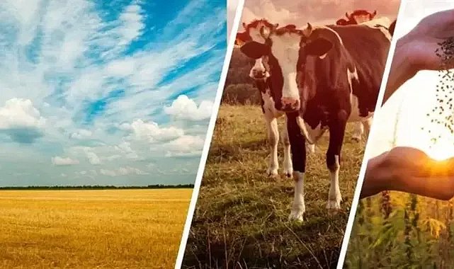 Bakanlık açıkladı: Tarım ve hayvancılık yardım başvuruları başladı!