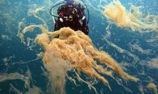 Bakanlıktan Marmara'ya kıyı 7 belediyeye müsilaj uyarısı