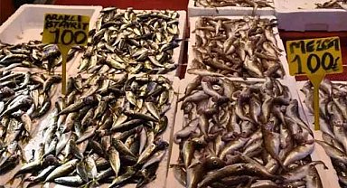Balıkçı tezgahlarında balık bolluğu