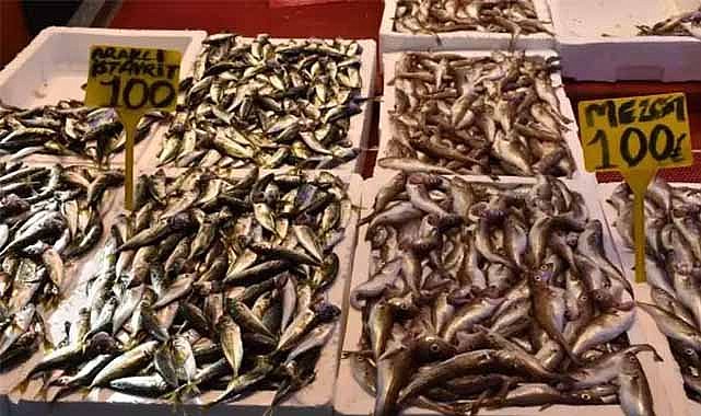 Balıkçı tezgahlarında balık bolluğu