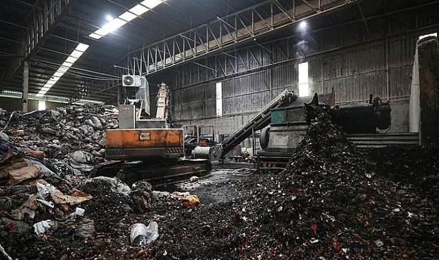 En çok tüketilen sebzede hastalık! 400 ton imha edildi