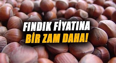 Fındık fiyatına bir zam daha! Fiskobirlik'ten peş peşe zam açıklamaları 
