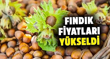 Fındık fiyatları yükseldi