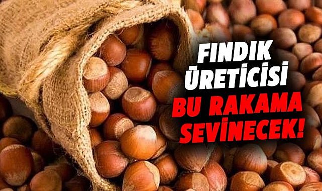 Fındık fiyatları yükseliyor! Üreticileri sevindirecek rakam