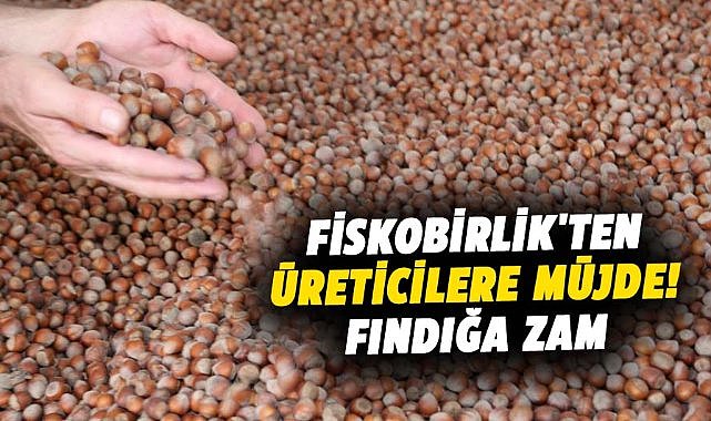 Fiskobirlik'ten üreticilere müjde! Fındık fiyatlarına zam