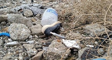 Gaziantep'te depremde yıkılan Güven ve Akar apartmanlarının müteahhitti serbest kaldı