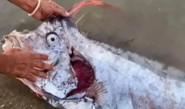 Kartalkaya'daki yangın ve kıyamet balığı: Felaketler zinciri devam ediyor mu?