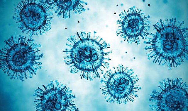 Kış ve ilkbaharda dikkat edilmesi gereken tehdit