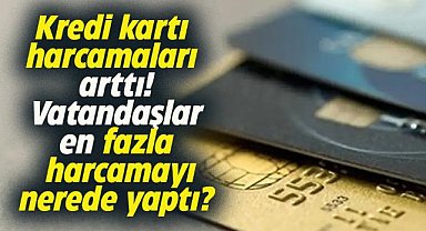 Kredi kartı harcamaları arttı