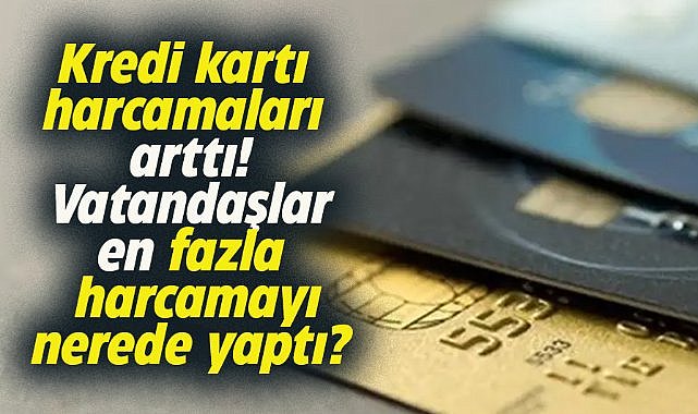Kredi kartı harcamaları arttı