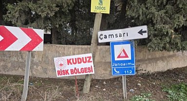 Kuduz köpek paniği! 2 kişiyi ısırdı, bir mahalle karantinaya alındı