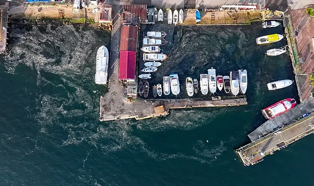 Marmara Denizi'nde Müsilaj problemi yeniden baş gösterdi