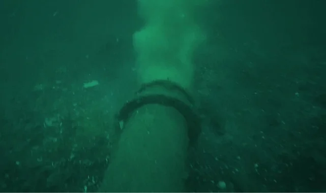 Prof. Dr. Mustafa Sarı: Kendinizi de, insanları da kandırmayın!