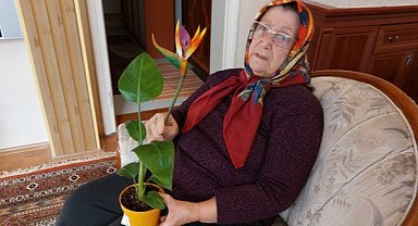 Samsun'da 3 harfli marketten canlı diye aldığı çiçek plastik çıktı! Savcılığa koştu