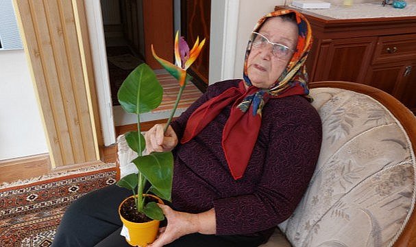 Samsun'da 3 harfli marketten canlı diye aldığı çiçek plastik çıktı! Savcılığa koştu