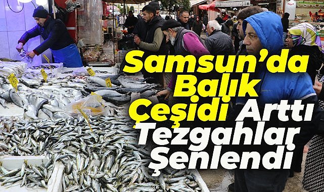 Samsun'da balık tezgahlarında çeşit arttı