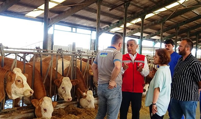 Samsun'da hayvancılıkta büyük atılım: Aşılamadan ihracata her alanda başarı
