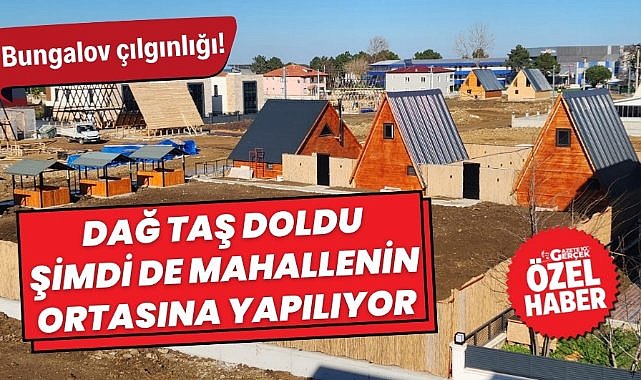Samsun'da hazine ve orman arazilerinin üzerine bungalov evler yapılıyor
