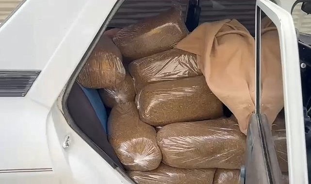 Samsun'da polis 250 kilo kaçak tütün ele geçirdi