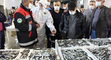 Samsun'da su ürünleri üretimi rekor kırdı