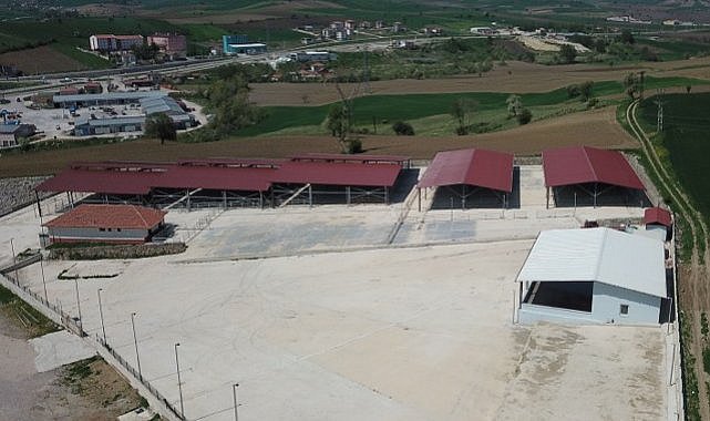 Samsun Havza'da canlı hayvan pazarı kapatıldı