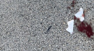 Tartıştığı tamirciyi silahla vurdu