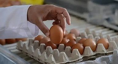 ABD korkunç nedenden dolayı Türkiye’den yumurta alacak!